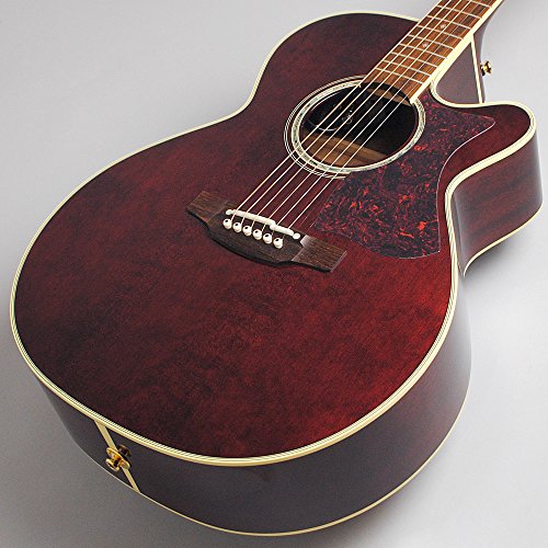 Amazon | Takamine DMP551C WR エレアコギター 500シリーズ (タカミネ