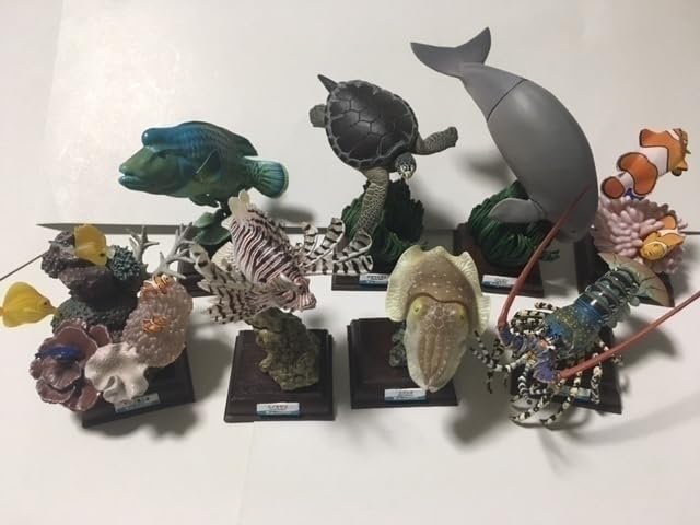 Amazon.co.jp: ネイチャーテクニカラー 鳥羽水族館 フルコンプ 全8種類