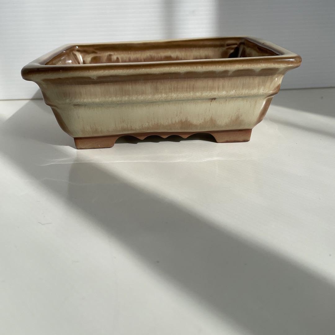 Amazon.co.jp: 盆栽鉢 落款 陶翠 : DIY・工具・ガーデン