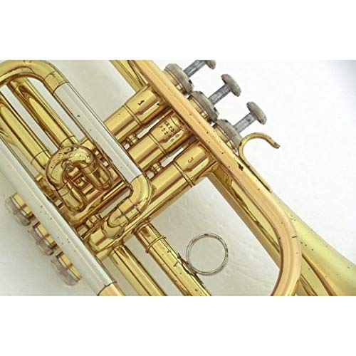 Amazon | YAMAHA ヤマハ/コルネット YCR-2330 | ベースパーツ | 楽器