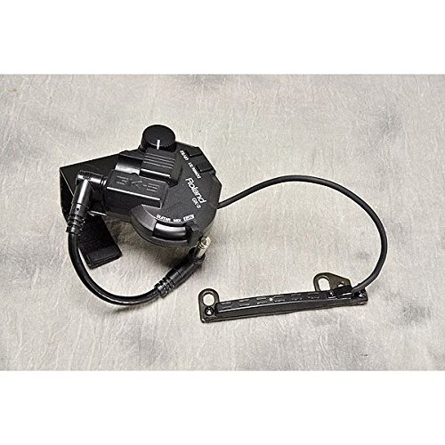 Amazon.co.jp: Roland / GR-20 Guitar Synthesize : Musical Instruments