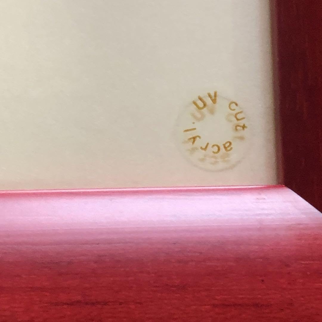 Amazon.co.jp: 垣野内成美 リトグラフ 燐花〜吸血姫美夕 直筆サイン