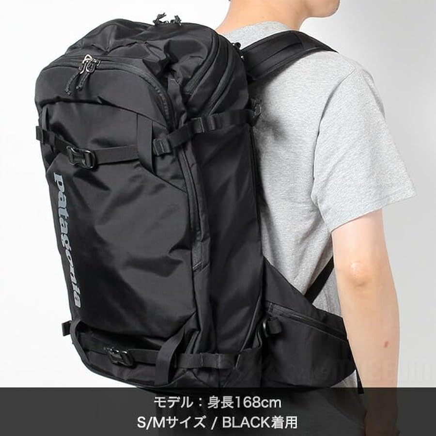 Amazon | [パタゴニア] バックパック デイパック リュック SNOW