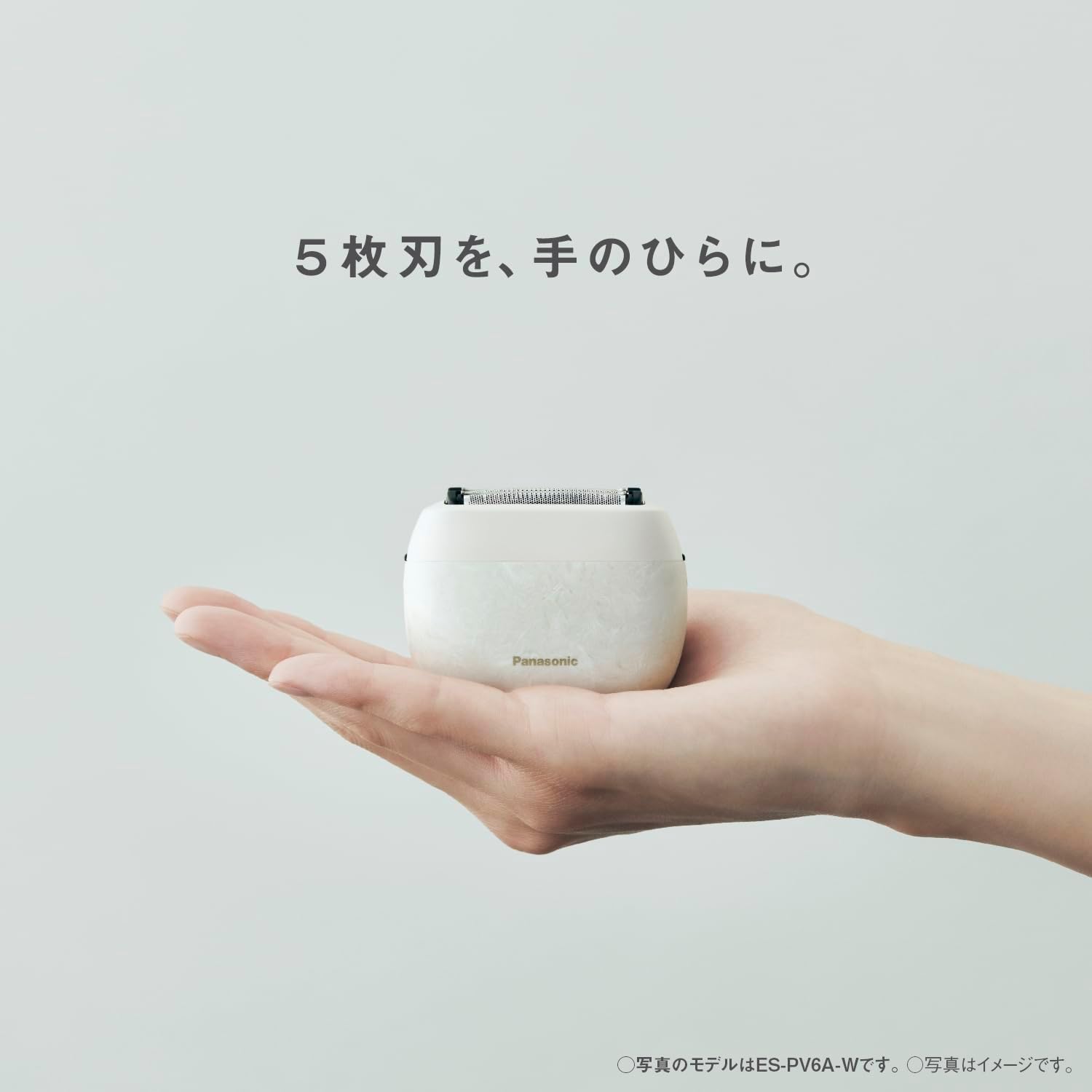 Amazon.com: Panasonic ES-PV6A Men's Shaver LAMDASH Palm in 5