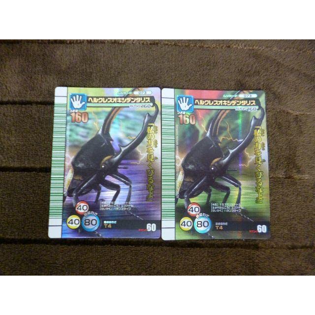 Amazon.co.jp: 甲虫王者ムシキング（5周年）ムシカード（073