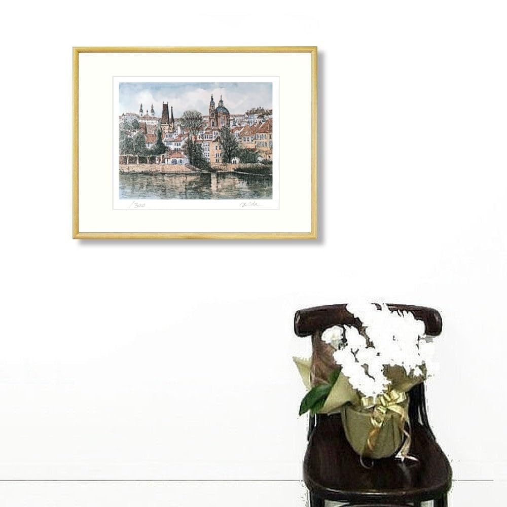 Amazon｜織田義郎 プラハV ナチュラル エッチング＋手彩色 版画 銅版画