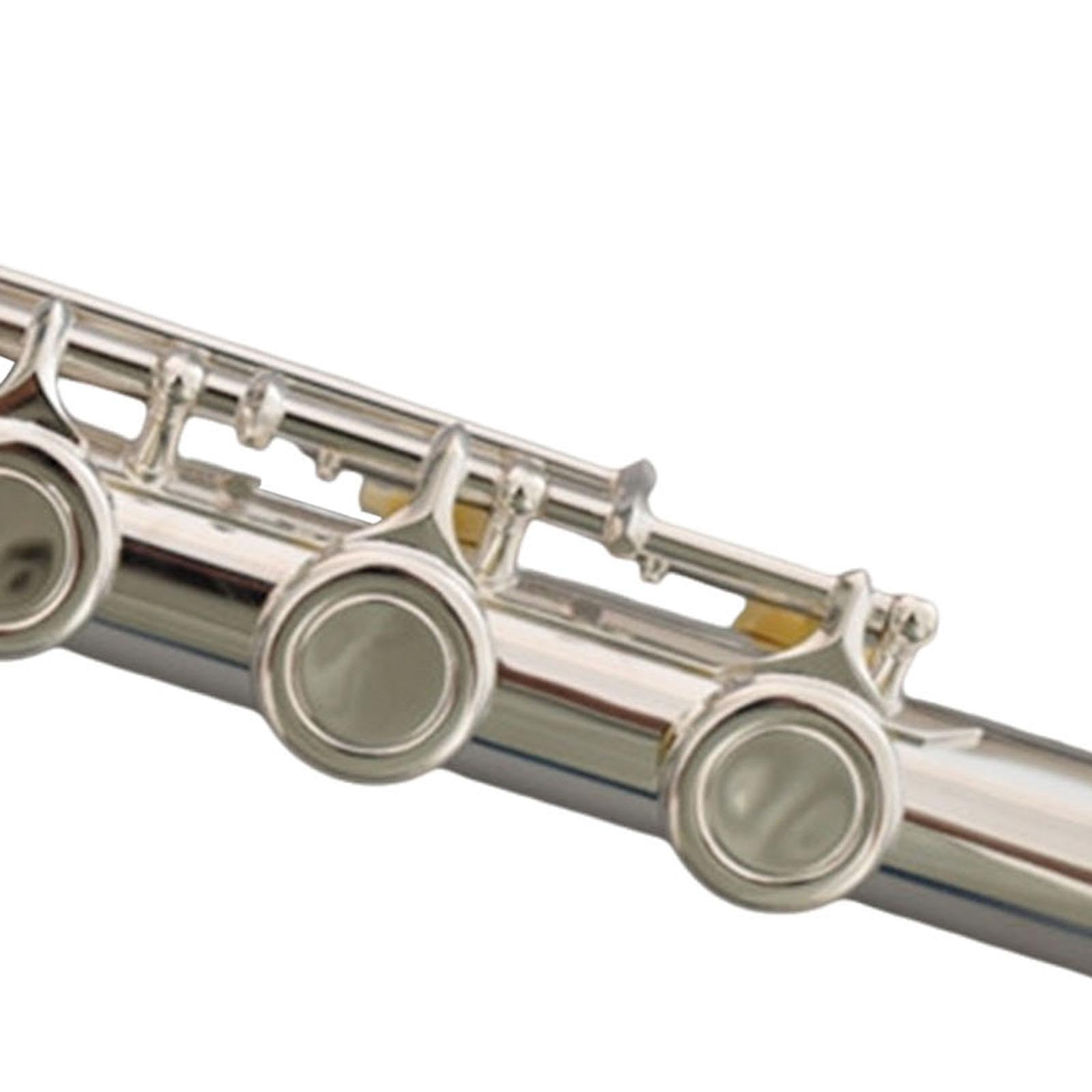 Amazon | Dickly 17穴フルート足部管、軽量で耐久性のある