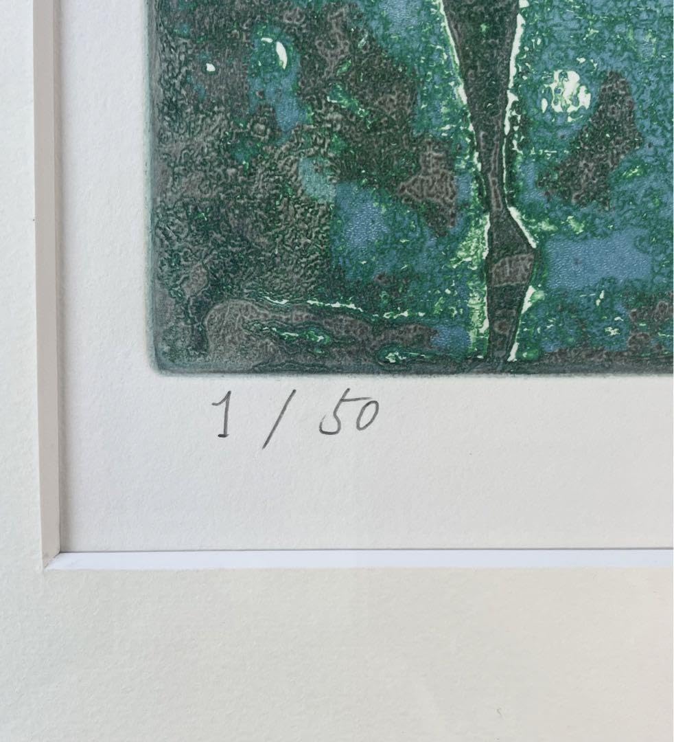 Amazon.co.jp: 中島広美 一版多色刷り 銅版画 「Bruit d'eau 水の音