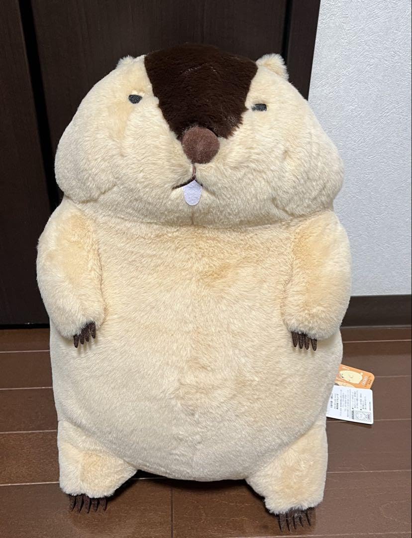 Amazon.co.jp: マーモットのもっとっと ウルトラBIGぬいぐるみ はまも