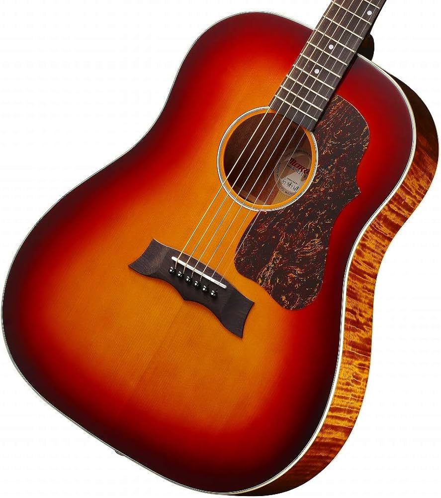 Amazon | MORRIS G-021 RBS (レッドブラウンサンバースト