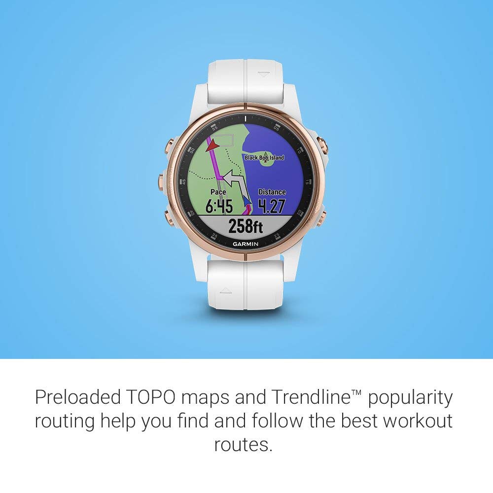 Amazon.com: Garmin fenix 5S Plus, Smaller-Sized Multisport GPS