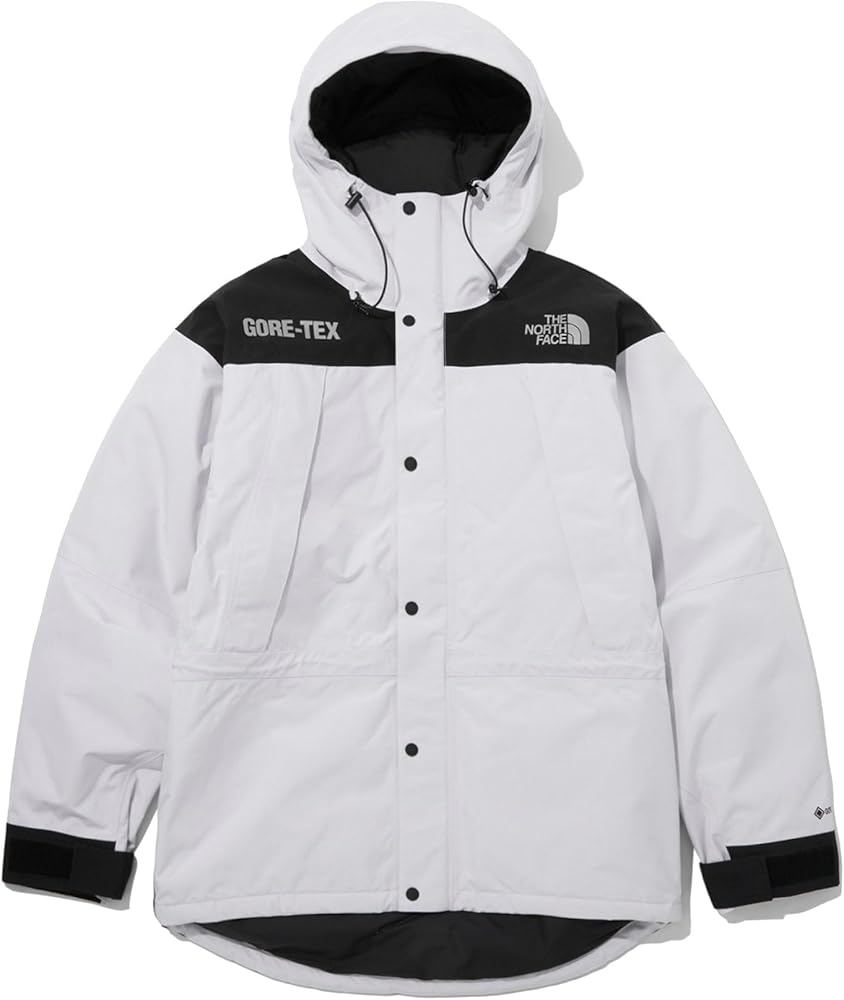 Amazon | (ノースフェイス) THE NORTH FACE メンズ_M GTX MOUNTAIN