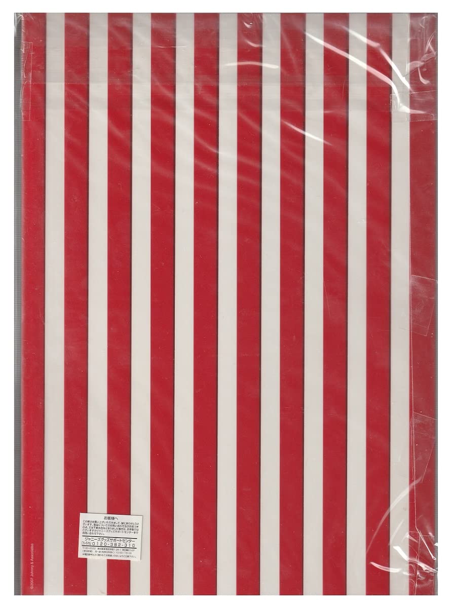 Amazon.co.jp: KinKi Kids 堂本剛 堂本光一 10周年 39 パンフレット