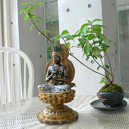 Amazon.co.jp: イスム TanaCOCORO[掌] 大日如来 仏像 フィギュア ポリ