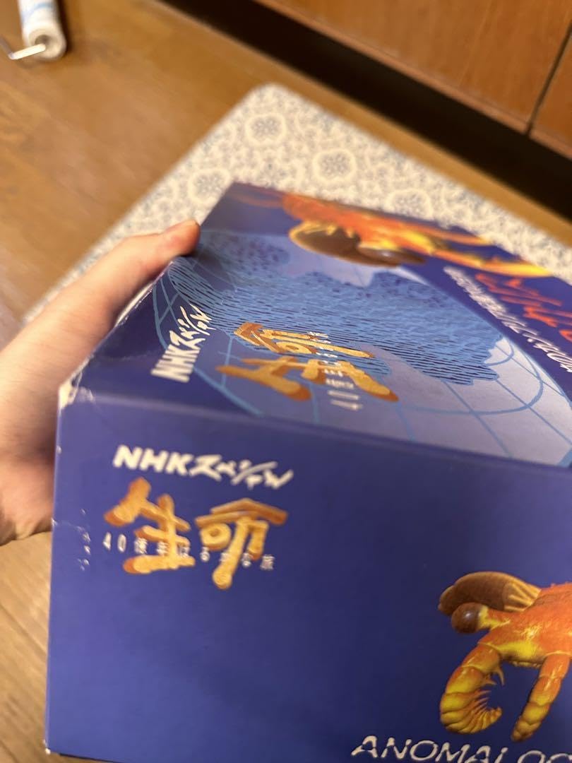 Amazon.co.jp: カンブリア紀 アノマロカリス フィギュア 化石 復元