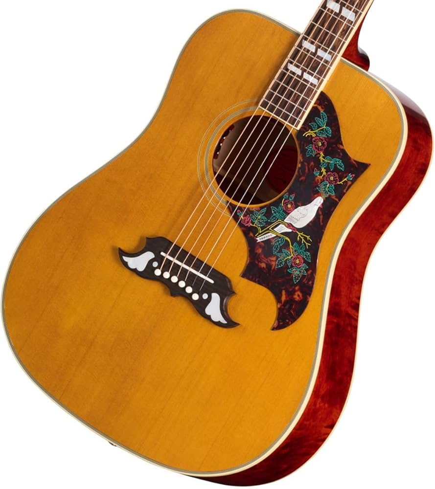 Amazon | Epiphone/Inspired by Gibson Custom 1963 Dove Reissue