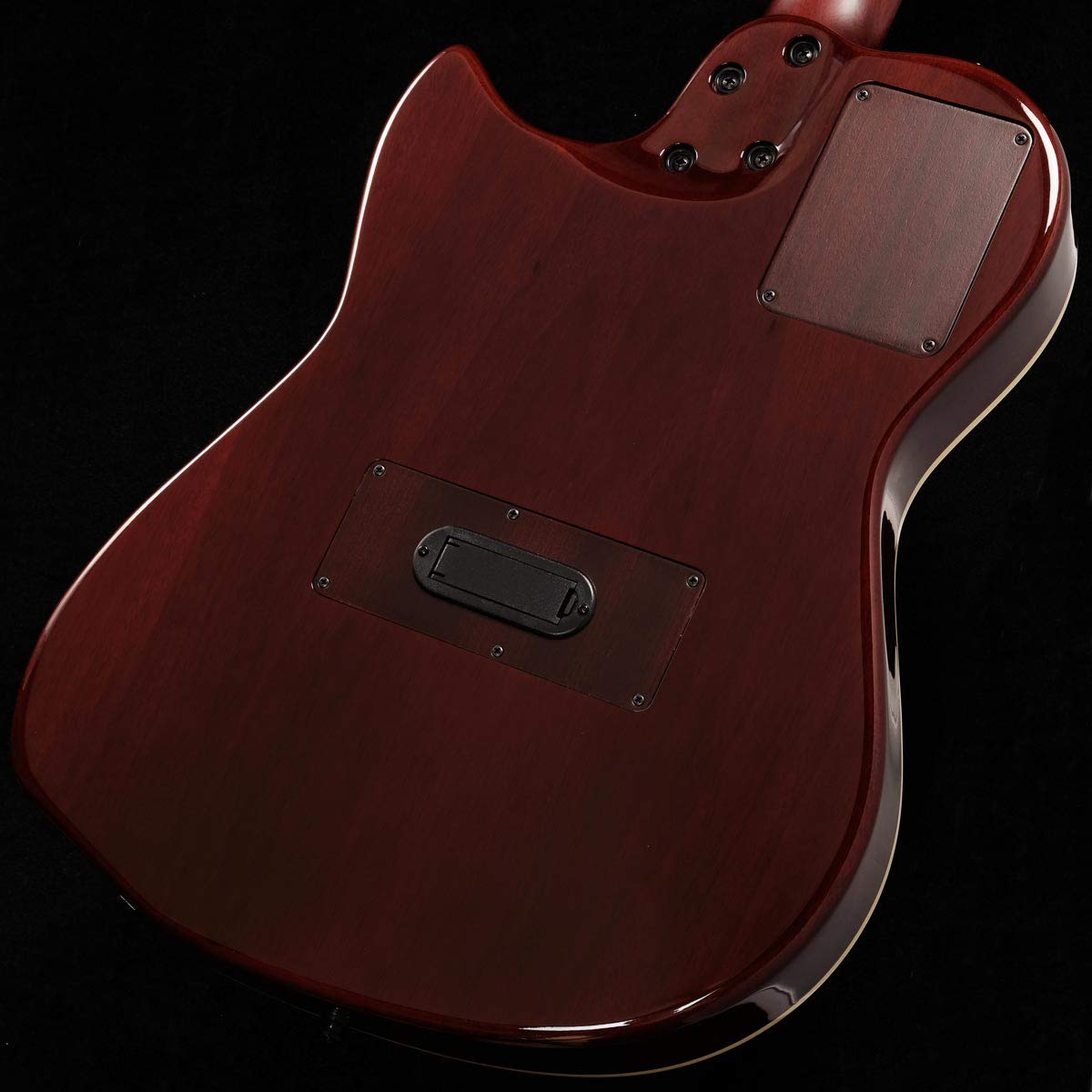 Amazon | Godin Multiac Nylon SA/Natural エレガットギター ゴダン