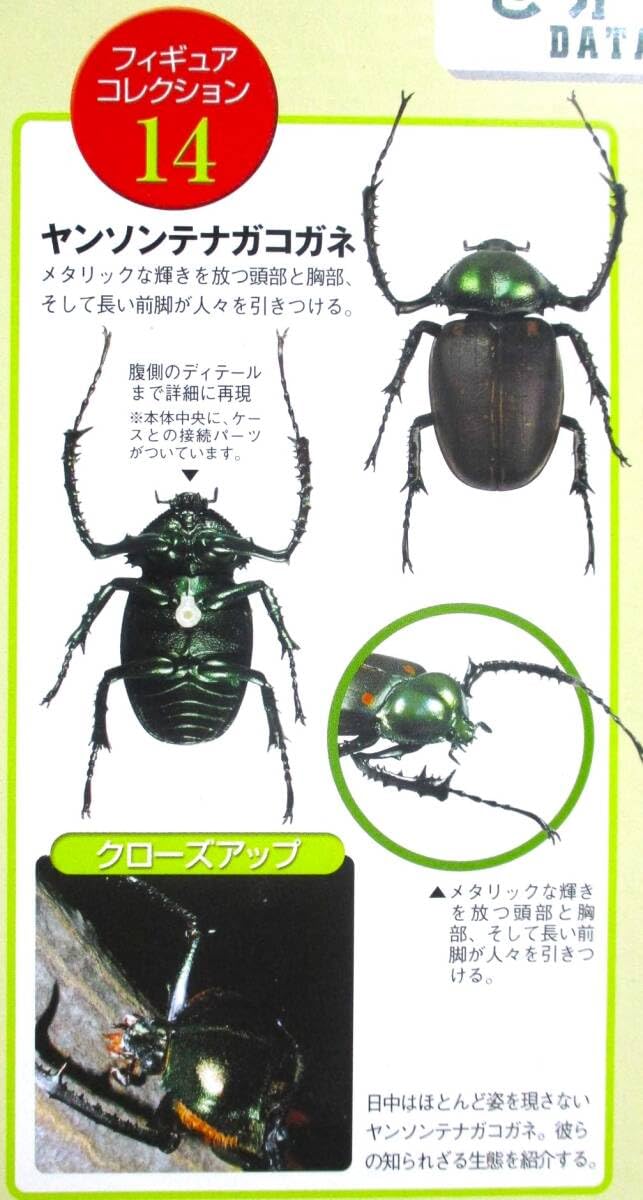 Amazon.co.jp: デアゴスティーニ 世界の昆虫 DATE BOOK 1/1 ヤンソン