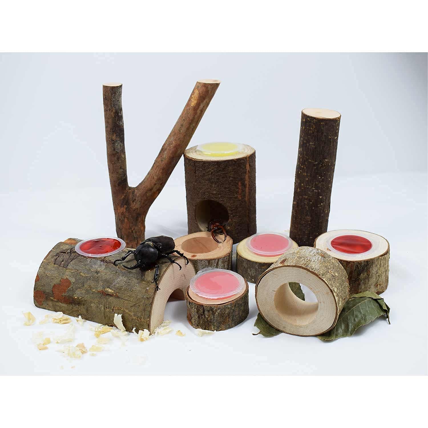 Amazon | えさ皿 昆虫のかくれ木 のぼり木 クワガタ 隠れ家 飼育木