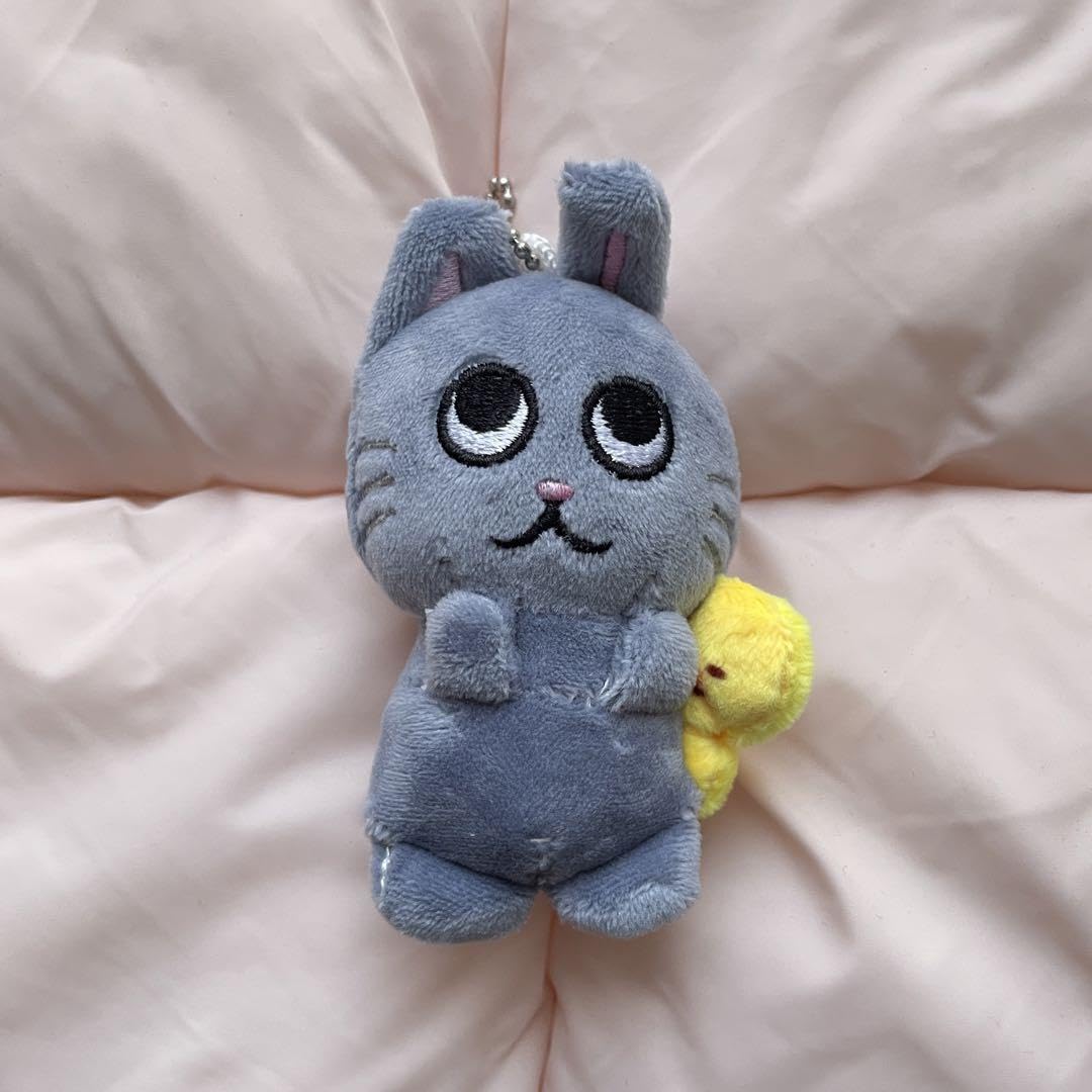 Amazon.co.jp: RIIZE ウォンビン トニャンドク ぬいぐるみ : おもちゃ