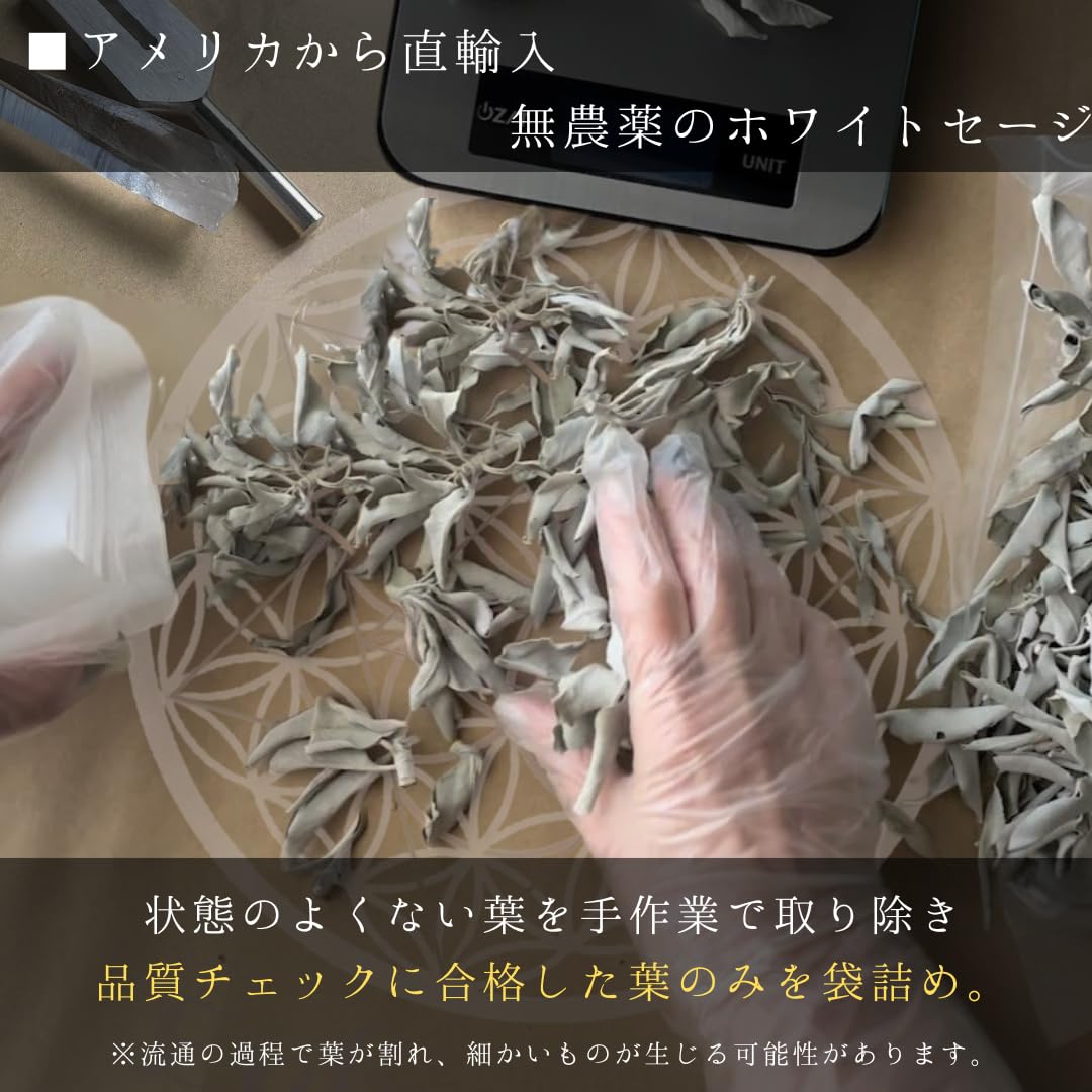 Amazon.co.jp: ホワイトセージ 浄化用 セージの葉 無農薬