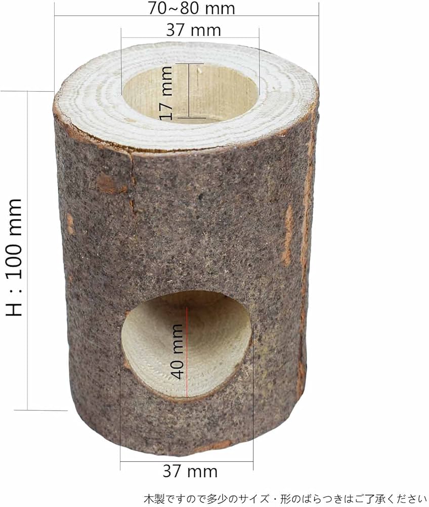 Amazon | 昆虫のかくれ木 のぼり木 クワガタ 隠れ家 飼育木 ゼリーの角