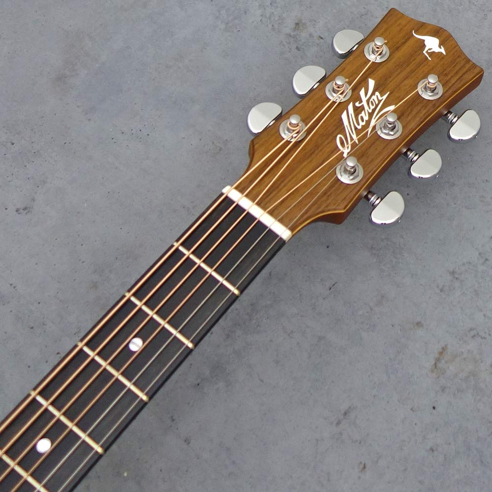 Amazon | Maton EBG808TE エレアコギター メイトン | スチール弦