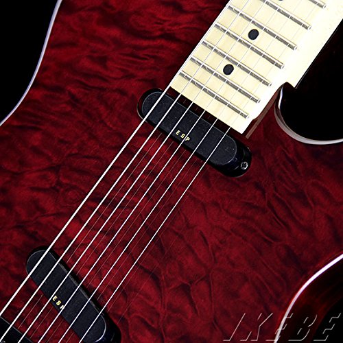 Amazon.co.jp: EDWARDS E-D-TE STDR エレキギター DIEモデル