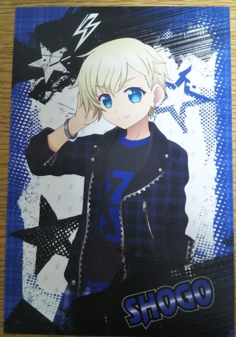 Amazon.co.jp: アイドルランドプリパラ With ショウゴ : おもちゃ