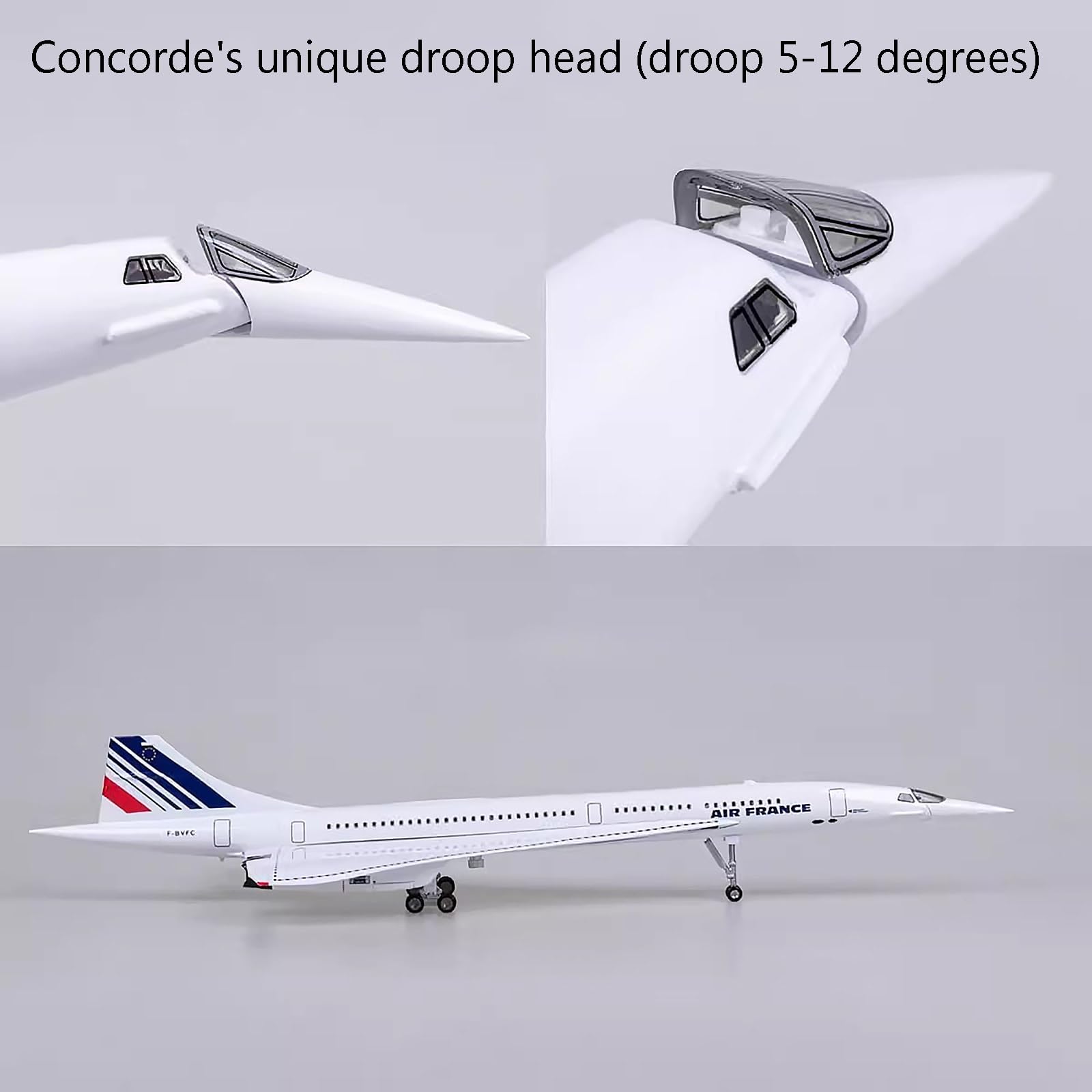 Amazon.co.jp: コンコルド 1:125 スケール 19.7 インチ 模擬完成品