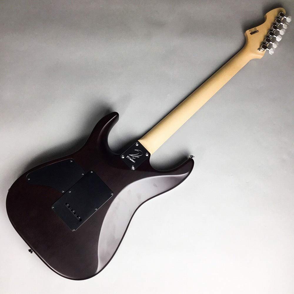 Amazon | T's Guitars DST-DX24/Custom エレキギター ティーズギター