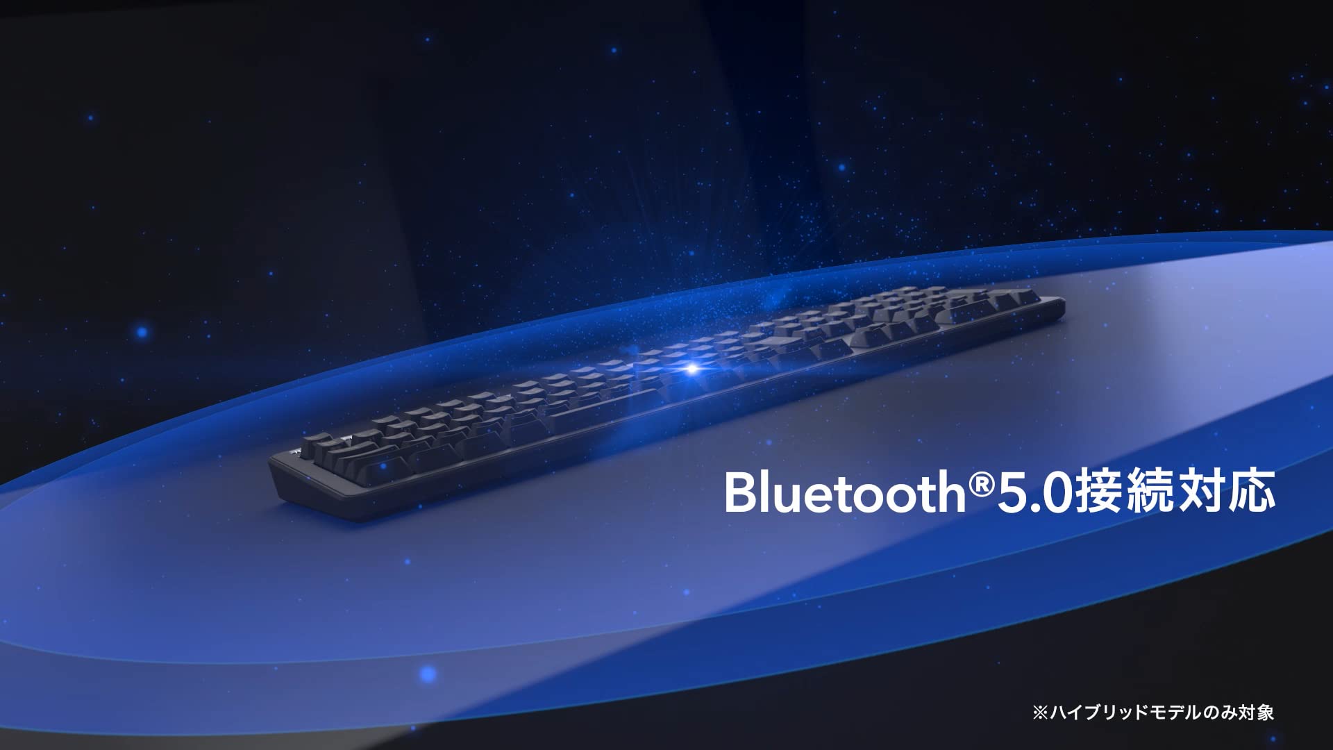 Amazon.co.jp: REALFORCE R3HC12 Hybrid Keyboard, Numeric Keypadless