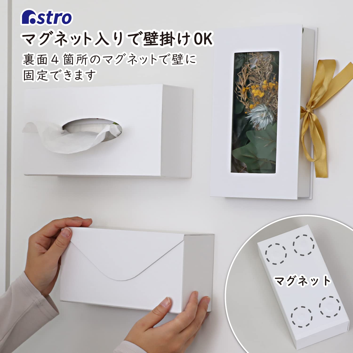 Amazon.co.jp: ASTRO 株式会社アストロ: マスクケース