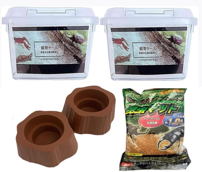 Amazon | クワガタムシ カブトムシ 飼育スターターキット オオクワガタ