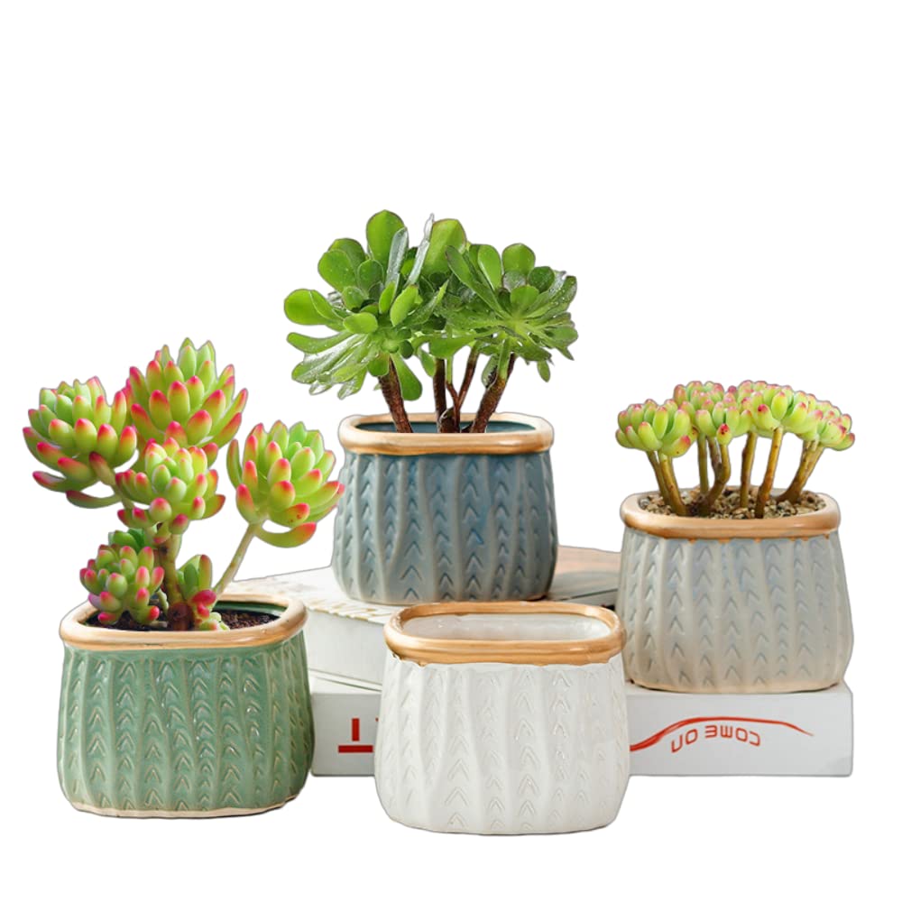 Amazon.co.jp: BAGGEN 植木鉢 4個セット 四角形 プランター 多肉 観葉