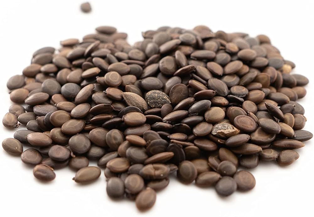 Amazon | アカシア・コンフューサ（相思樹・ソウシジュ）(Acacia