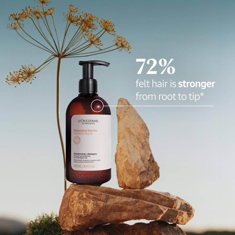 Amazon.com: L'Occitane Intensive Repair Shampoo 16.90 fl. oz
