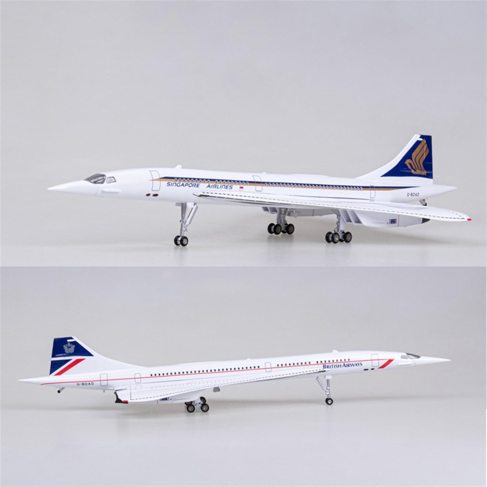 Amazon.co.jp: コピー飛行機モデル 50 センチメートル 1/125