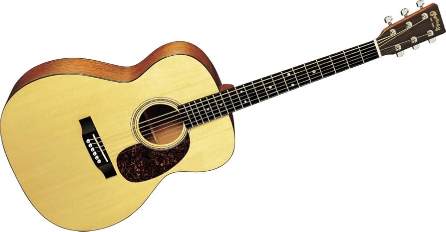 Amazon.co.jp: Martin アコースティックギター 16 Series 000-16GT