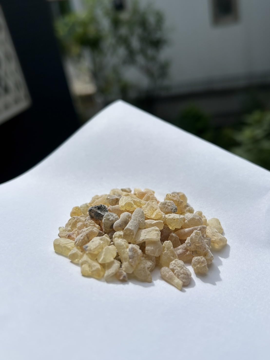 Amazon.co.jp: フランキンセンス 樹脂 (イエメン産 最高級