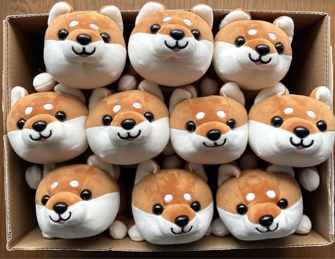 Amazon.co.jp: ハッピー まめしば 10匹 : ペット用品