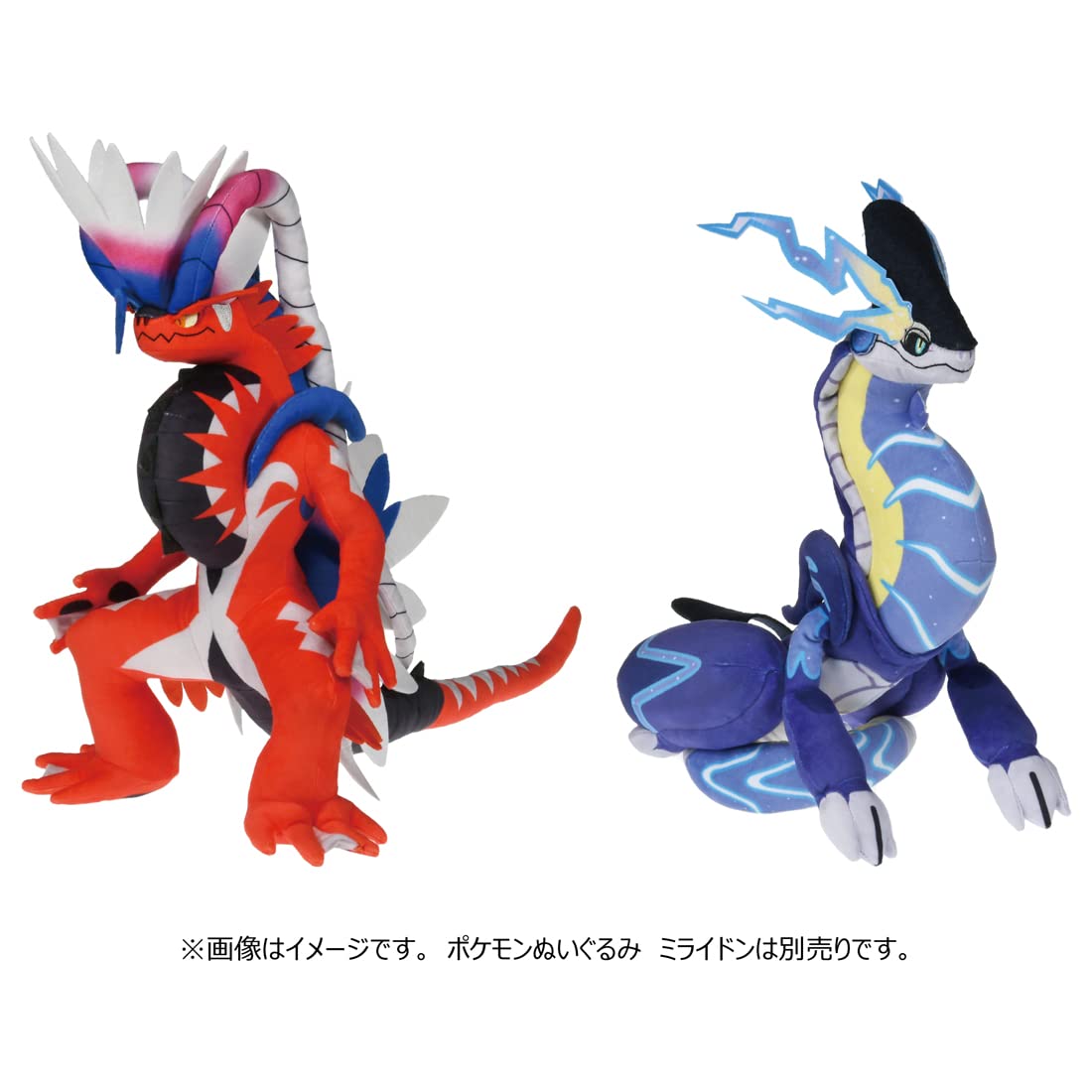 Amazon.co.jp: ポケモンぬいぐるみ コライドン : おもちゃ