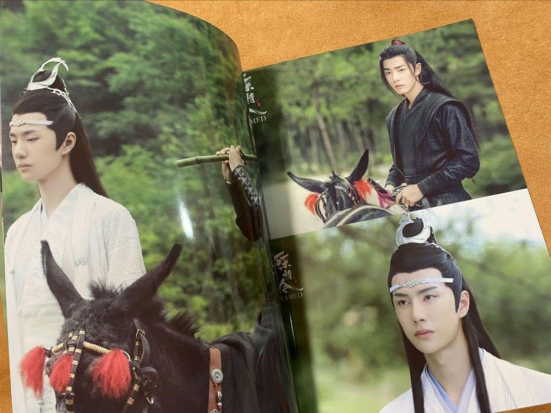 Amazon.co.jp: 陳情令 博君一肖 王一博肖戦「夏の記憶」写真集 : おもちゃ