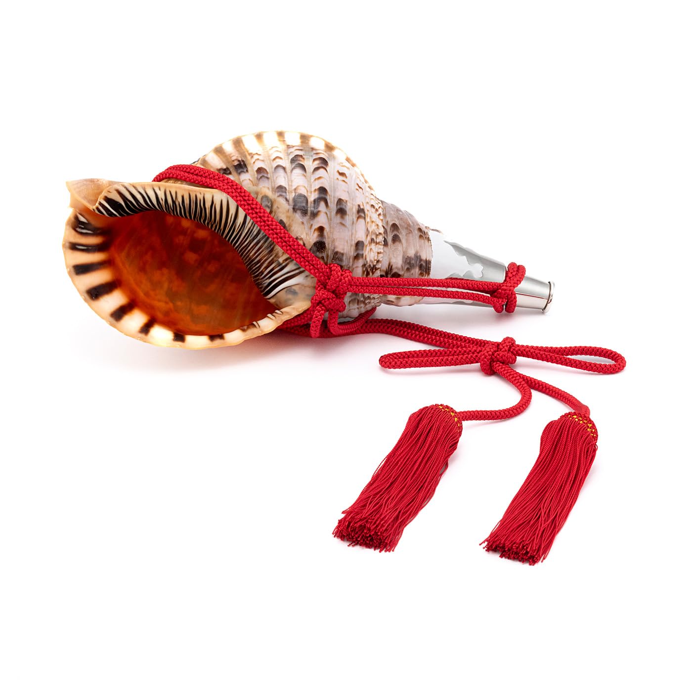 Amazon.co.jp: 伊勢 - 宮忠 - 法螺貝 ほら貝 楽器 笛 歌口付き 真言宗