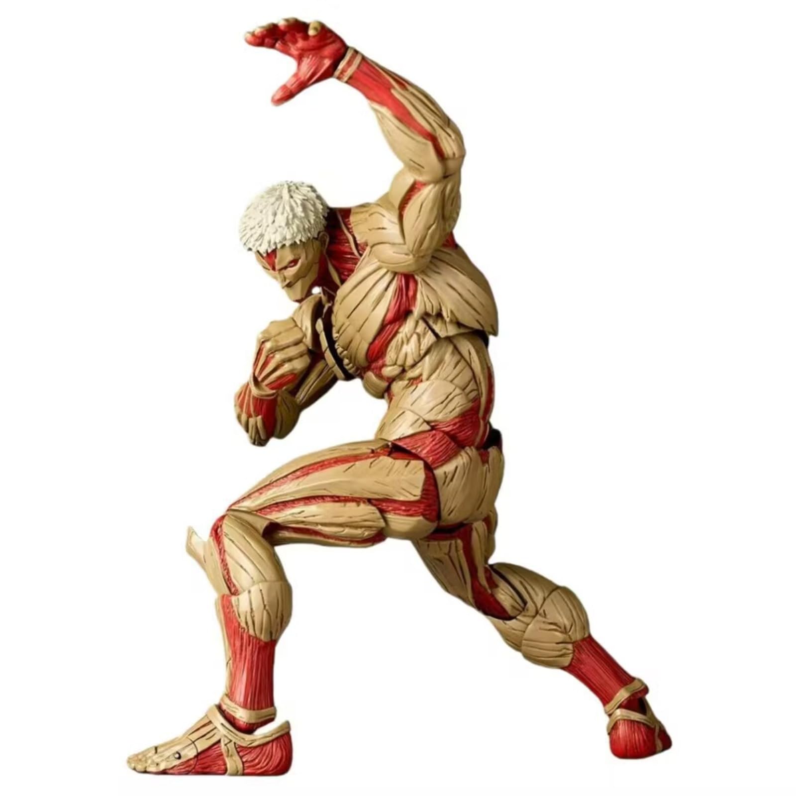 Amazon.co.jp: [YAORUI] 進撃の巨人 ライナー・ブラウン フィギュア