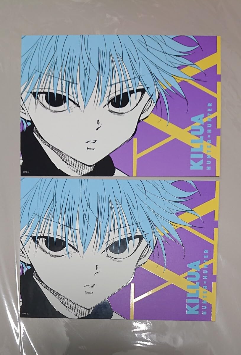 Amazon.co.jp: HUNTER×HUNTERアートカードコレクションキルア 2枚