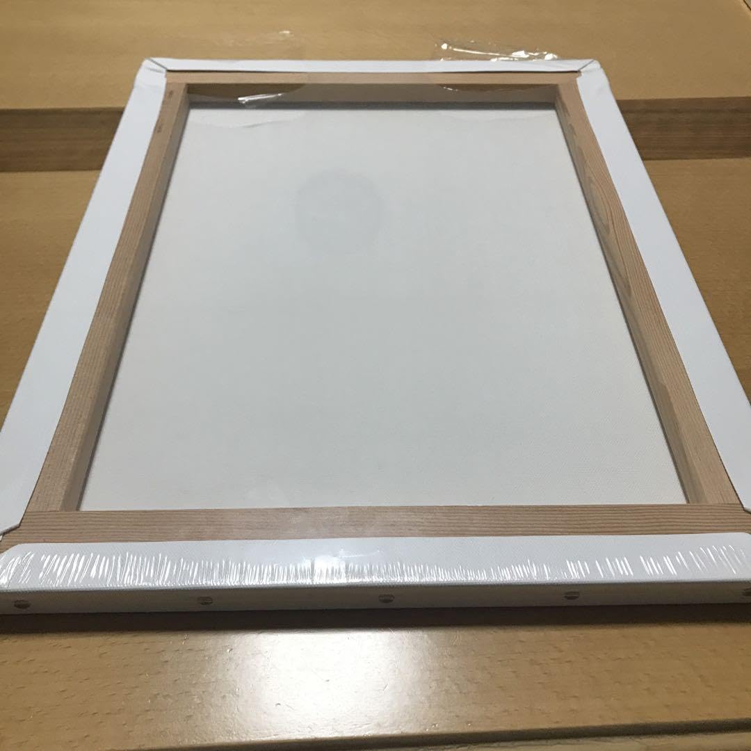 Amazon.co.jp: なつめさんちキャンバスアート 2枚セット : おもちゃ