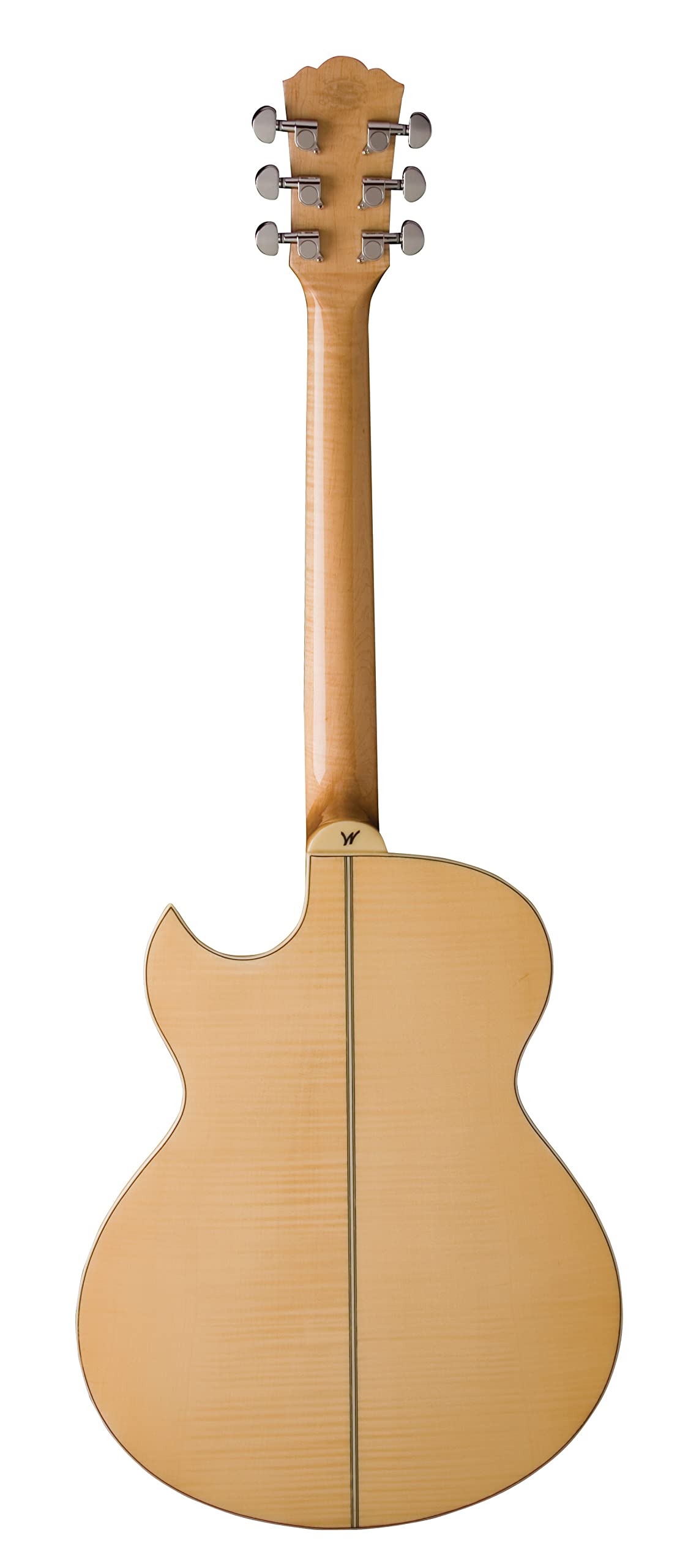 Amazon.com: Washburn Festival EA20 Acoustic Electric Guitar (EA20