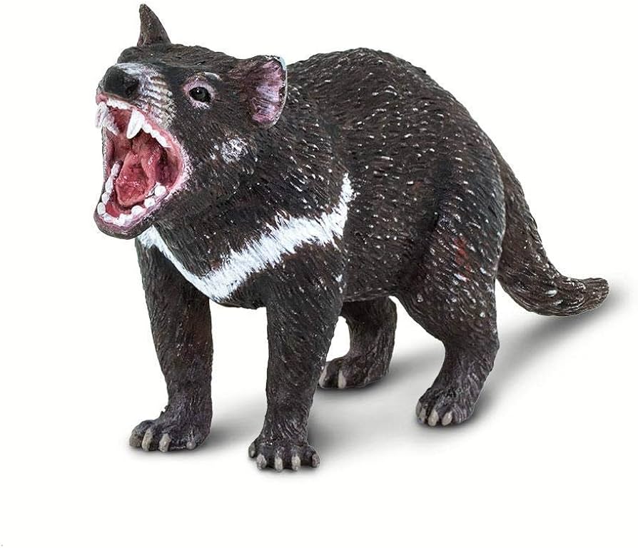 Amazon | Safari (サファリ) タスマニアデビル 動物 フィギュア 100247