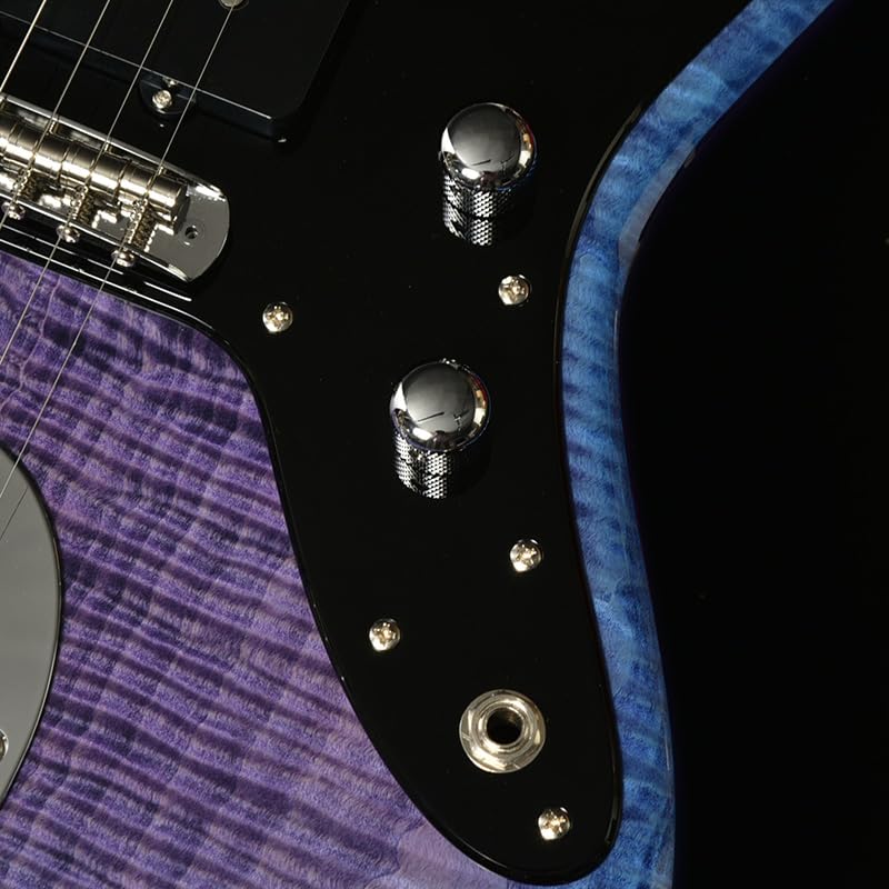 Amazon | Momose MJS-TOCHI WSE'24/NJ HYD-BL-B (Hydrangea Blue Burst